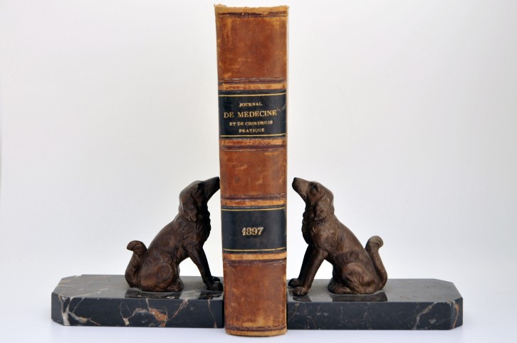 Serre-livre en régule polychrome milieu XXe français, avec chiens sur socle en marbre noir de Markina (Espagne) 