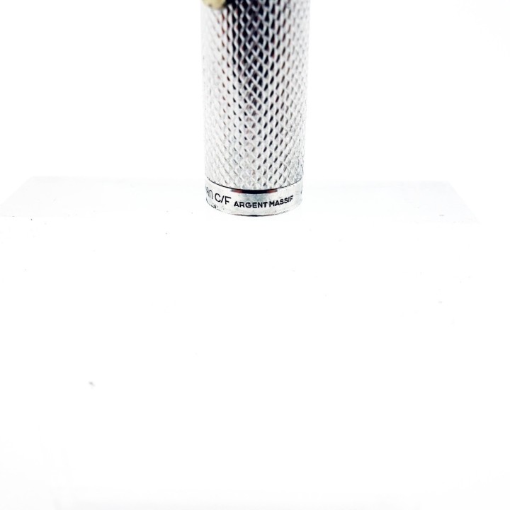 Penna stilografica CF Waterman in argento massiccio