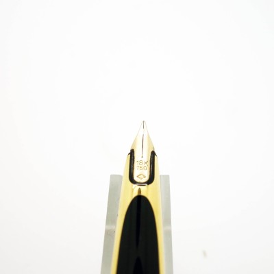 Caneta de tinta permanente CF Waterman de cartucho