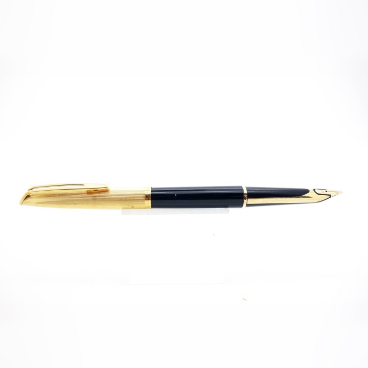 Waterman CF cartridge fountain pen