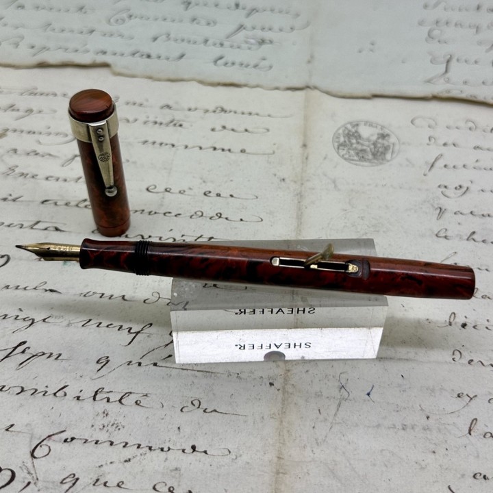 Caneta de tinta permanente de alavanca La Plume d'Or