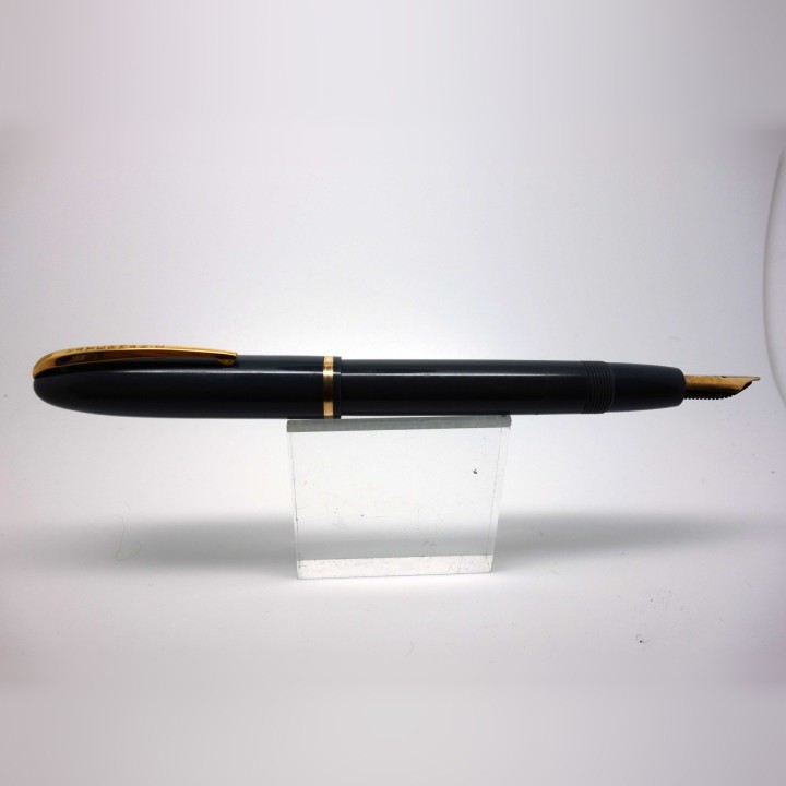Penna stilografica Waterman da donna a cartuccia di vetro