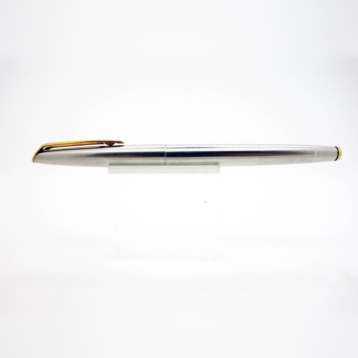 Caneta de tinta permanente Waterman CF em aço