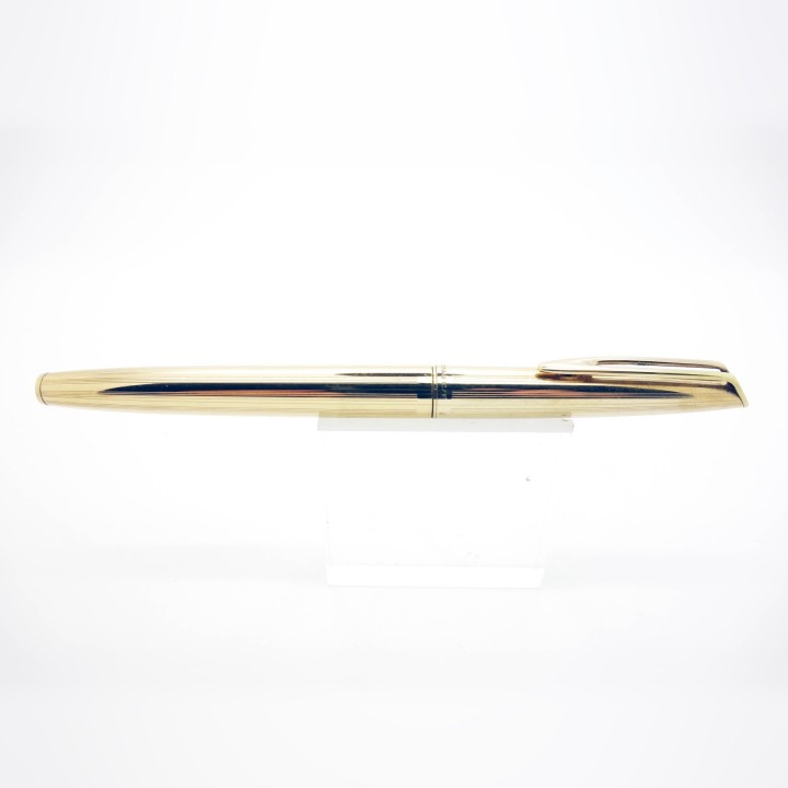 Caneta de tinta permanente Waterman CF banhada a ouro